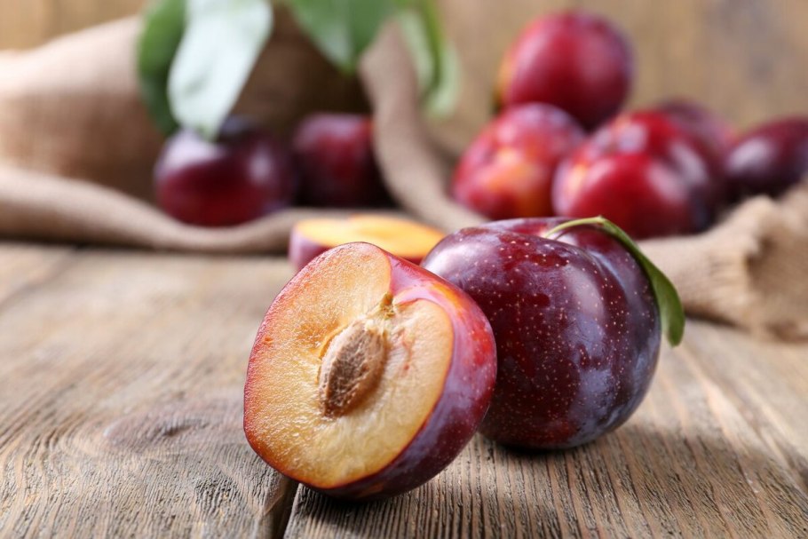 Слива (подрод)