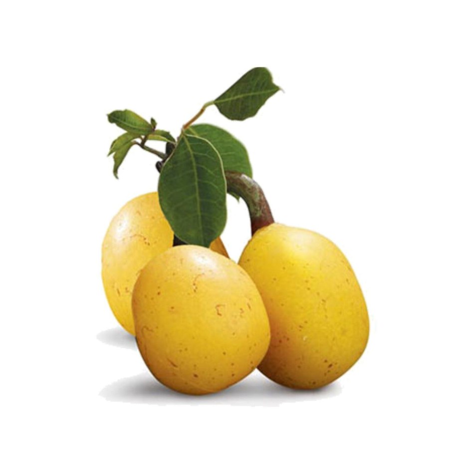 Африканская Марула