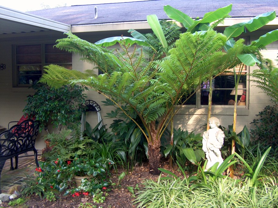 Энцефалартос лебомбонский