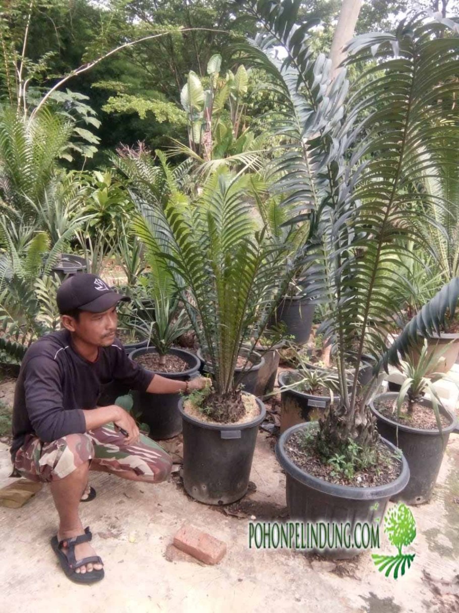 Красивые прически на манекене