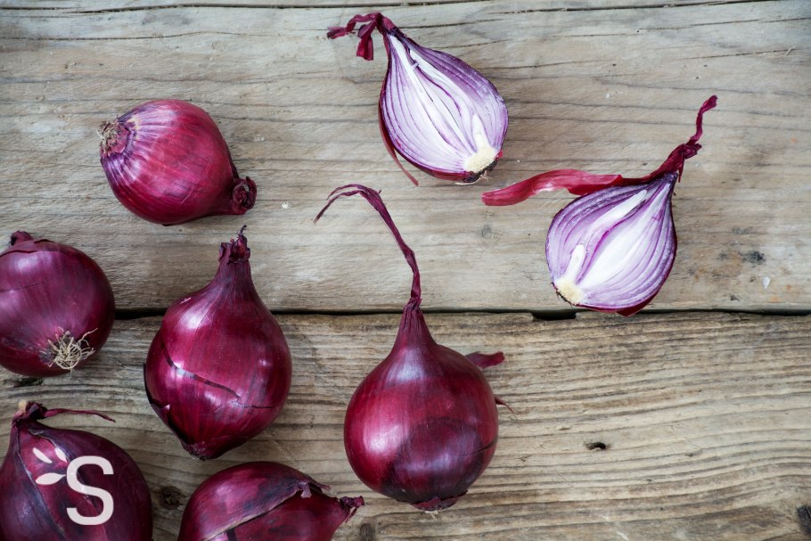 Лук репчатый красный