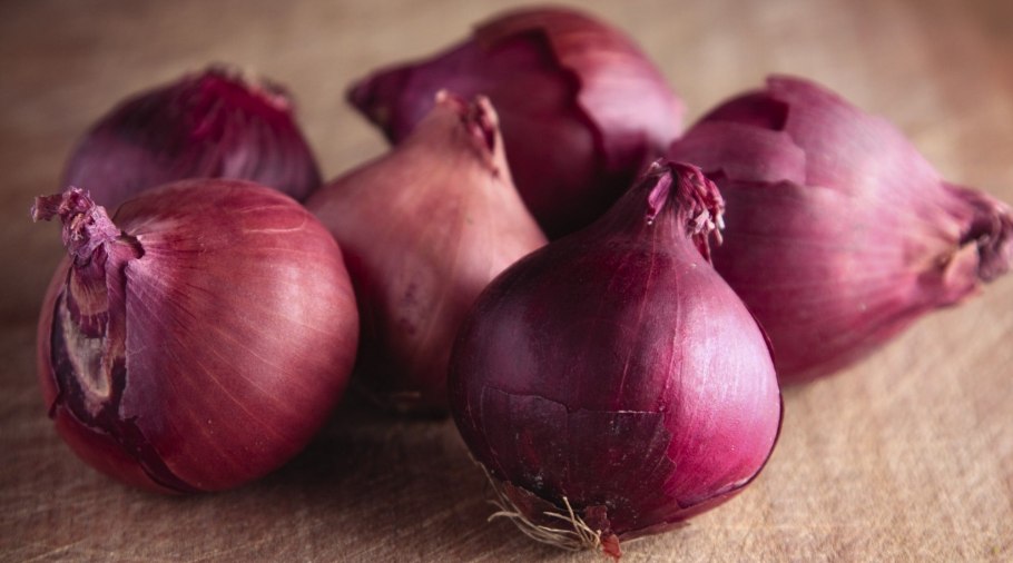 Лук севок красный