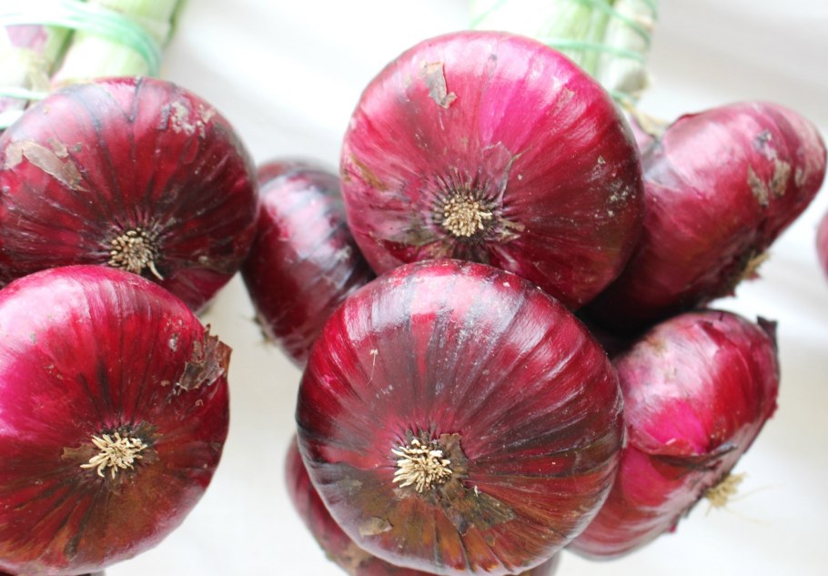Лук шалот красный