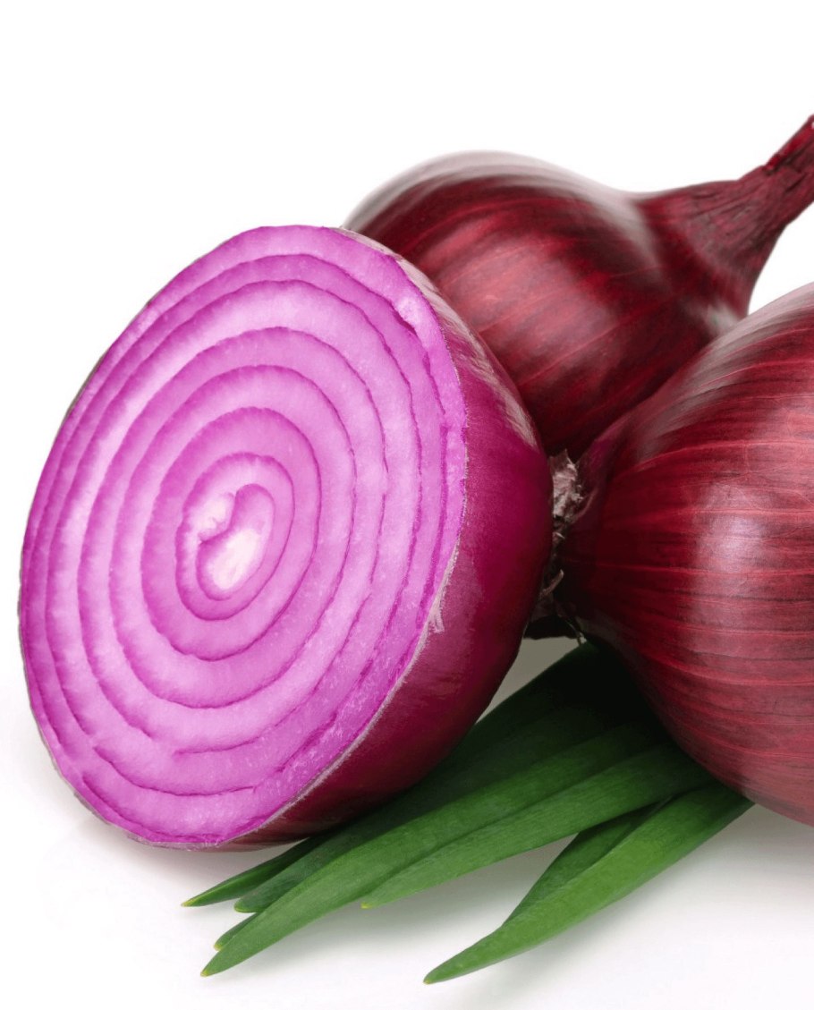 Красный лук фото