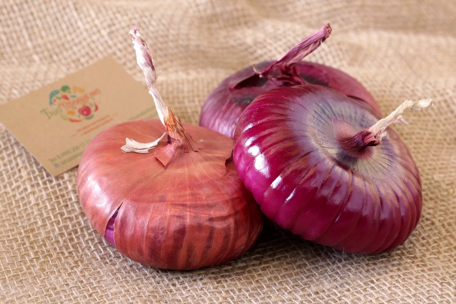 Лук репчатый Ялтинский красный