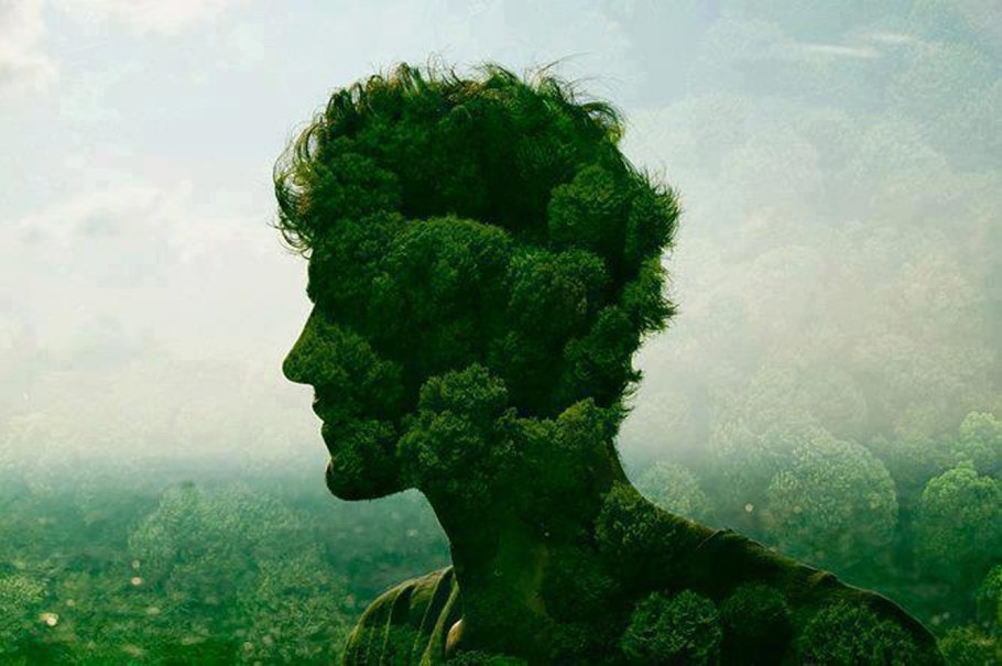 Общество и природа