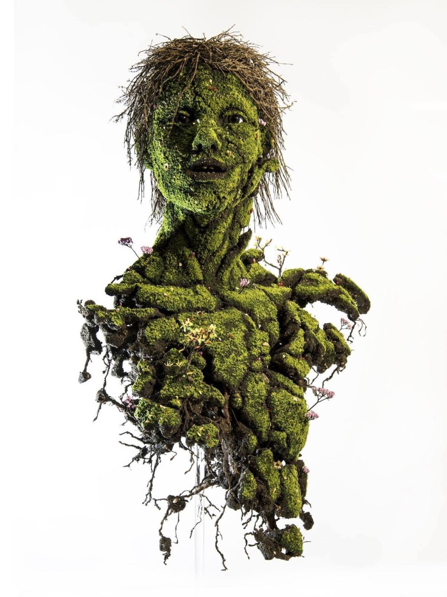 Человек растение арт