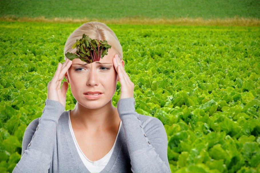 Растения и человек