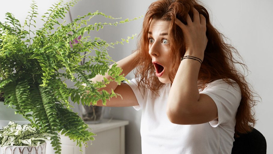 Растение вызывающее страх