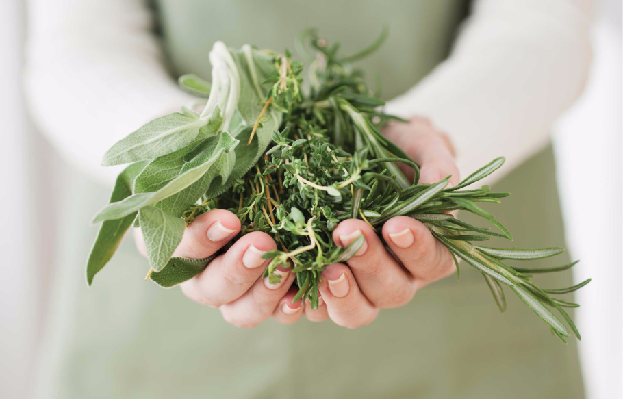 Целебные травы