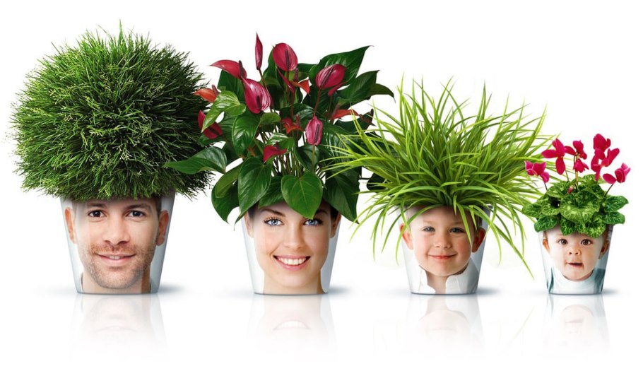 Горшок голова с цветами