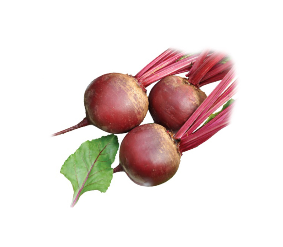 Свекла столовая Миледи f1