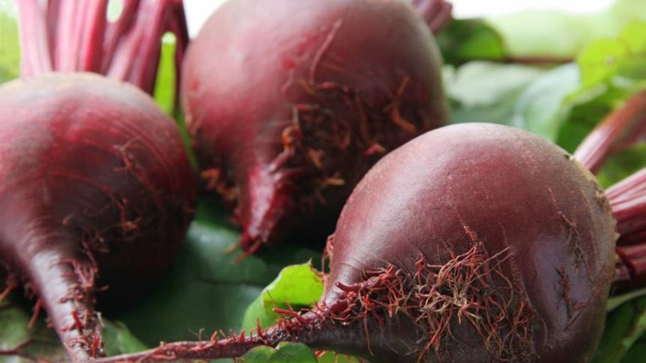 Овощи свекла