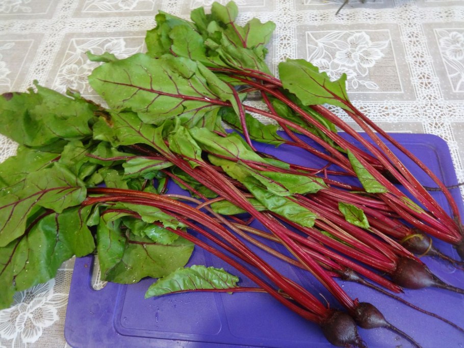 Зеленая свекла как называется