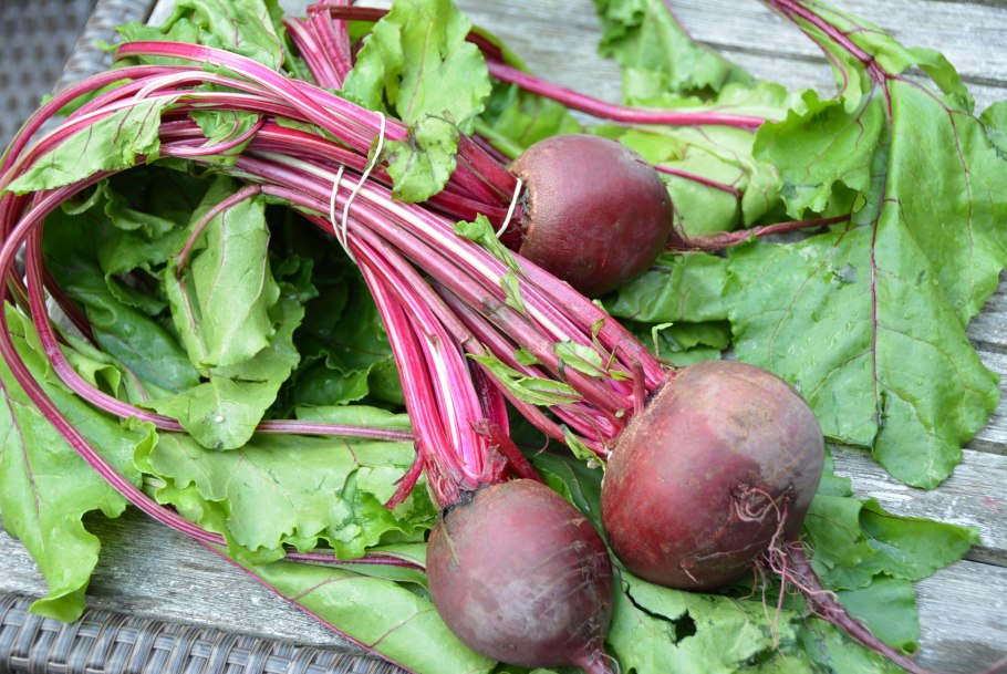 Сорта свеклы небольших размеров