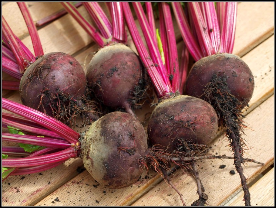 Виктор корнеплод