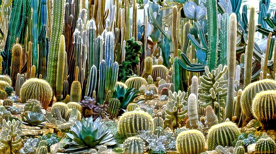 Крашеные кактусы