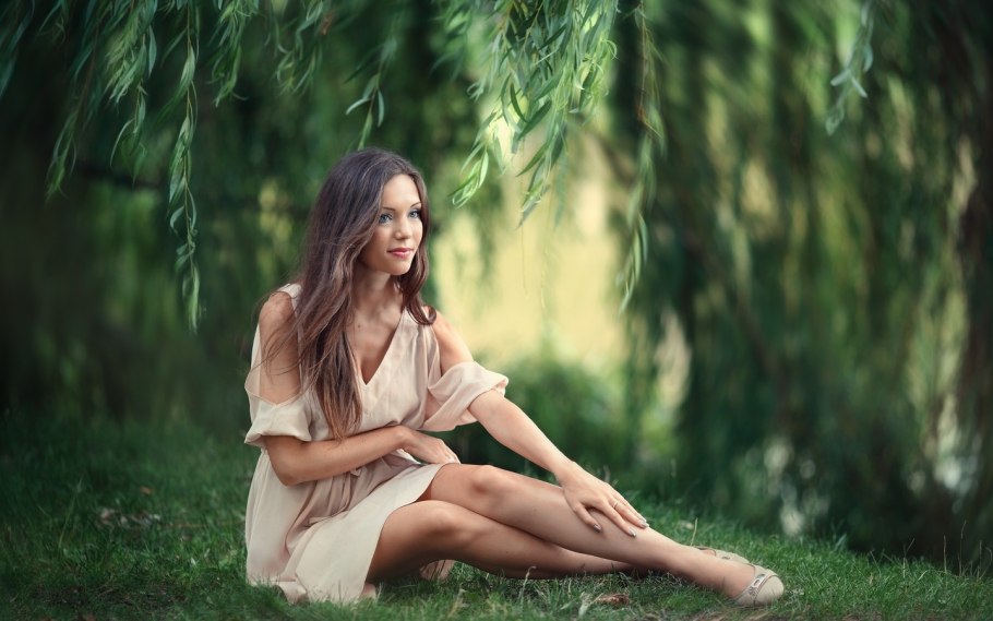 Ива гибридная Плакучий Гном