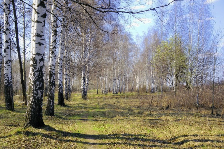 Весна в России