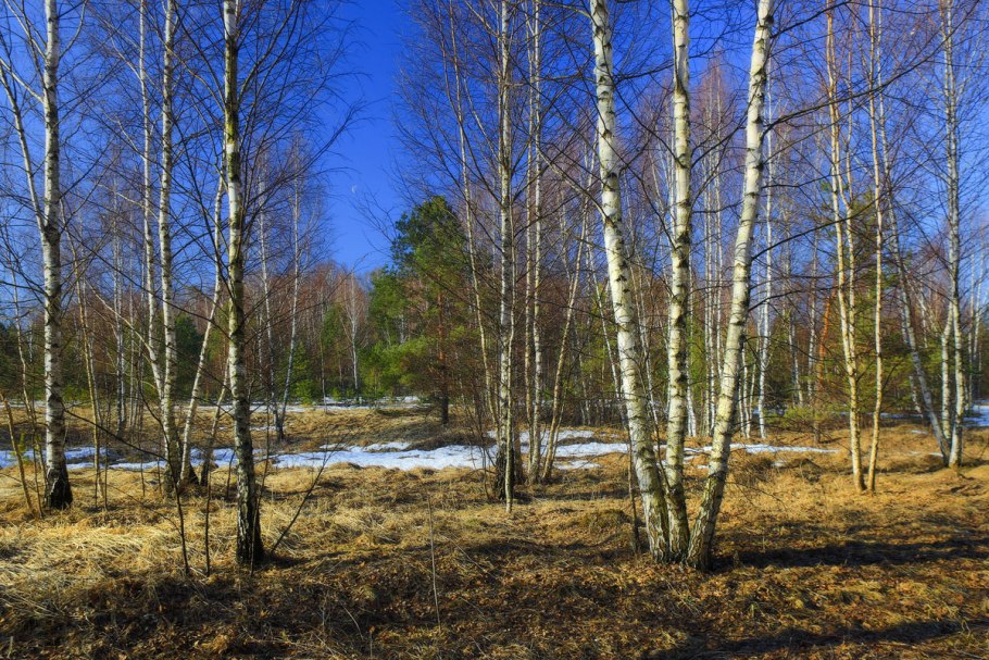 Ранняя Весна