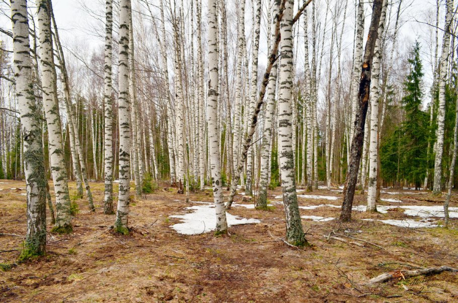 Весна в России