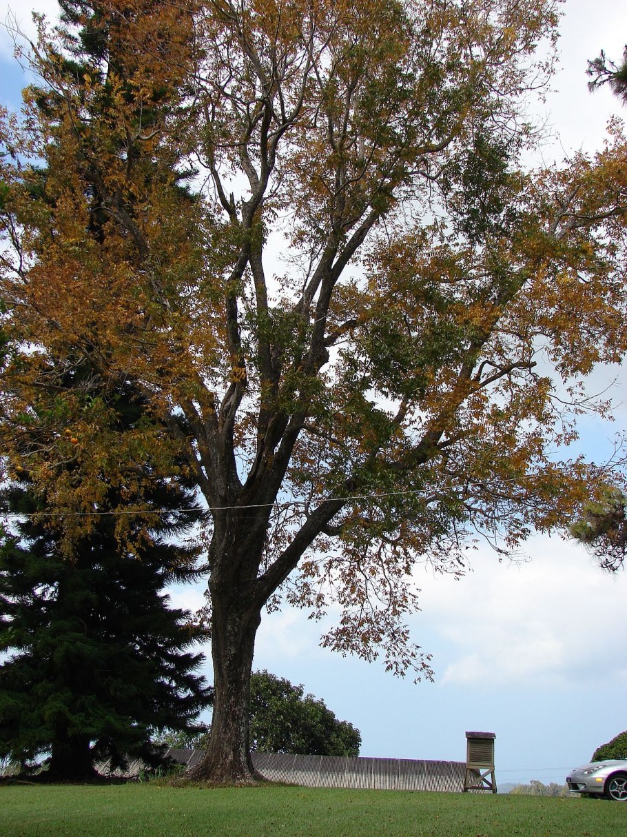 Windham, Connecticut, 1815