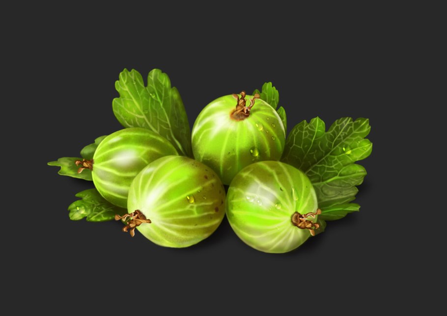 Крыжовник Галатея