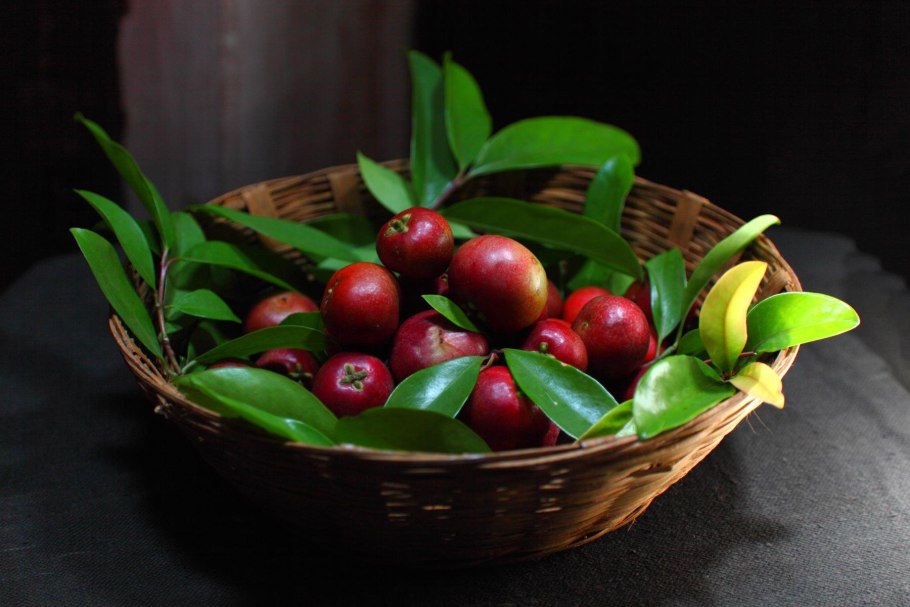 Гарциния индийская (Garcinia Indica),
