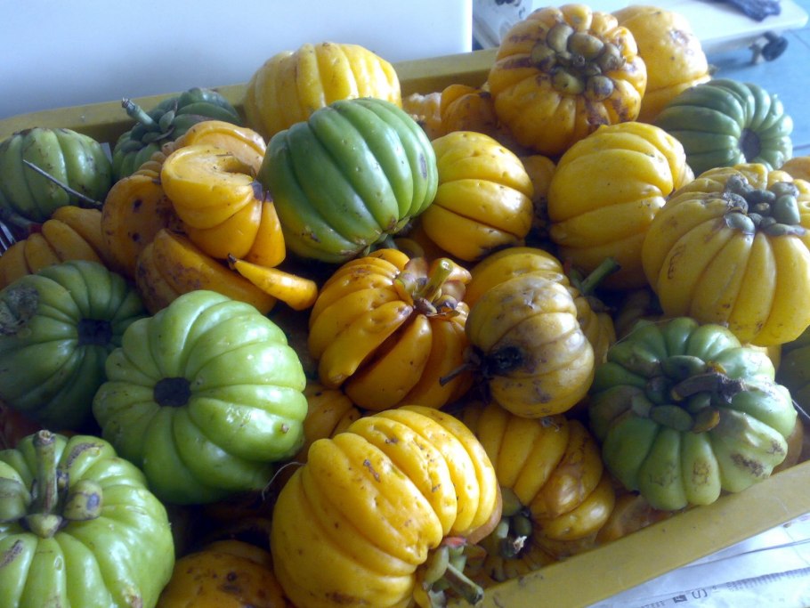 Гарциния камбоджийская (Garcinia Cambogia)