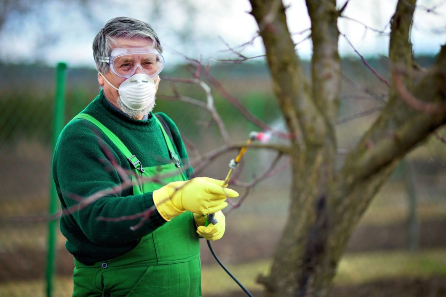 Опрыскивание деревьев