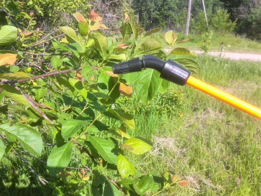 Обработка сада от вредителей