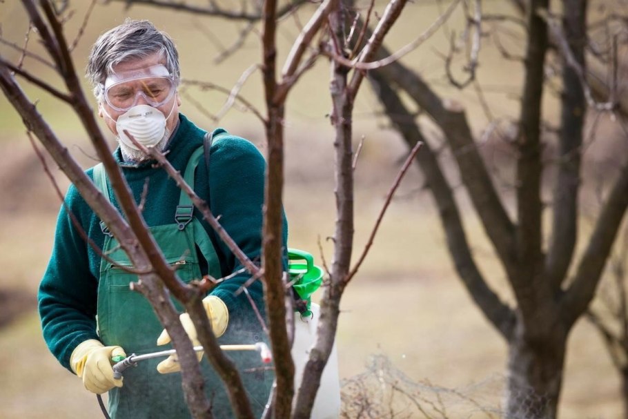 Обработка сада от вредителей