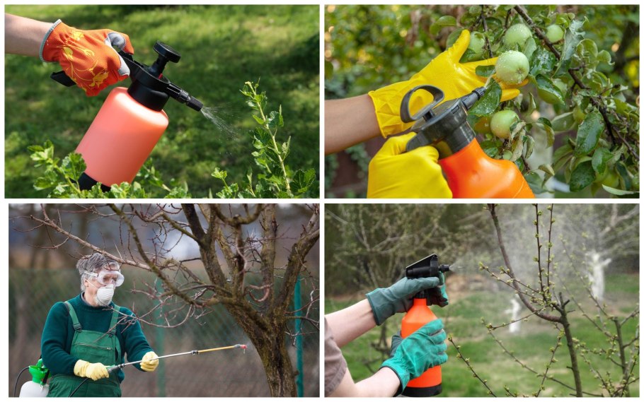 Иван русских обработка сада весной