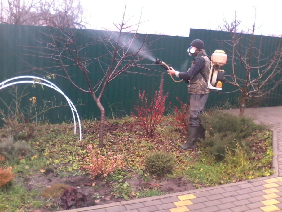 Медный купорос обработка деревьев яблони