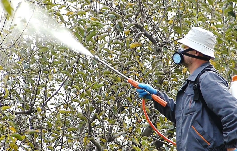 Защита растений от вредителей