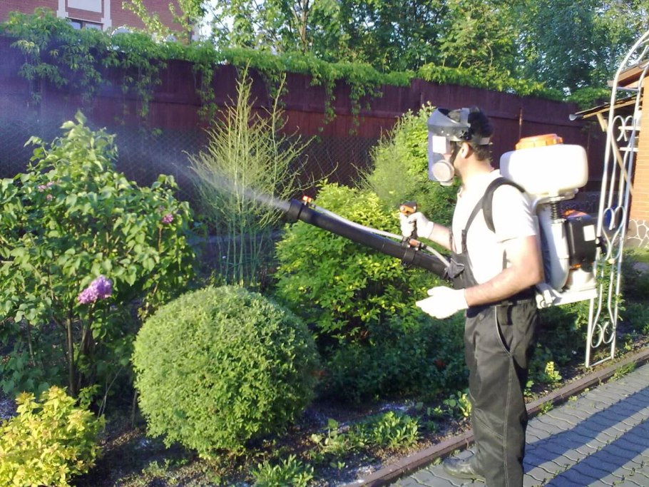 Опрыскивание деревьев