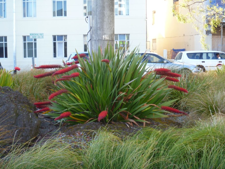 Морские дьяволы смерч