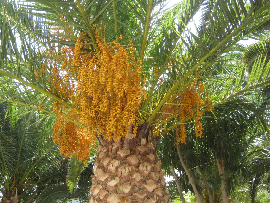 Материнская плата MSI 865gvm2-LS