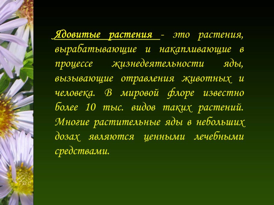 Меристема камбий