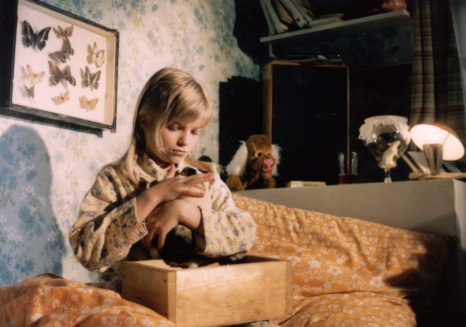 Вероника лекарственная