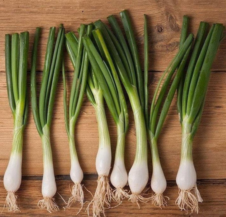 Лук слизун широколистный