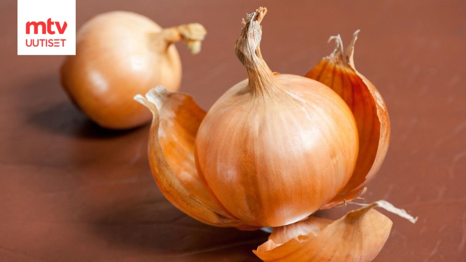 Луковичные овощи