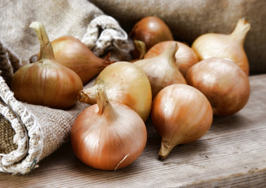 Лук шалот Крымский