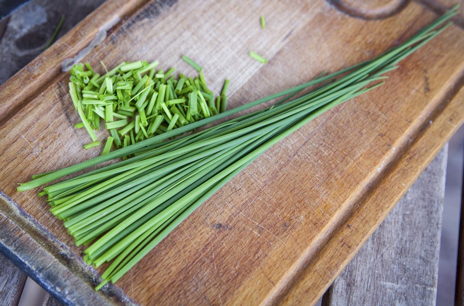 Лук семейный в стрелку