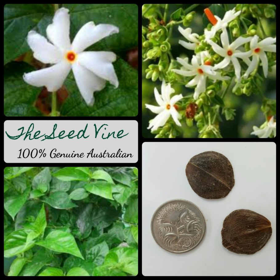 Чампака Париджата