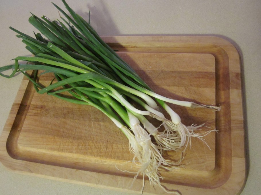 Анзур горный лук