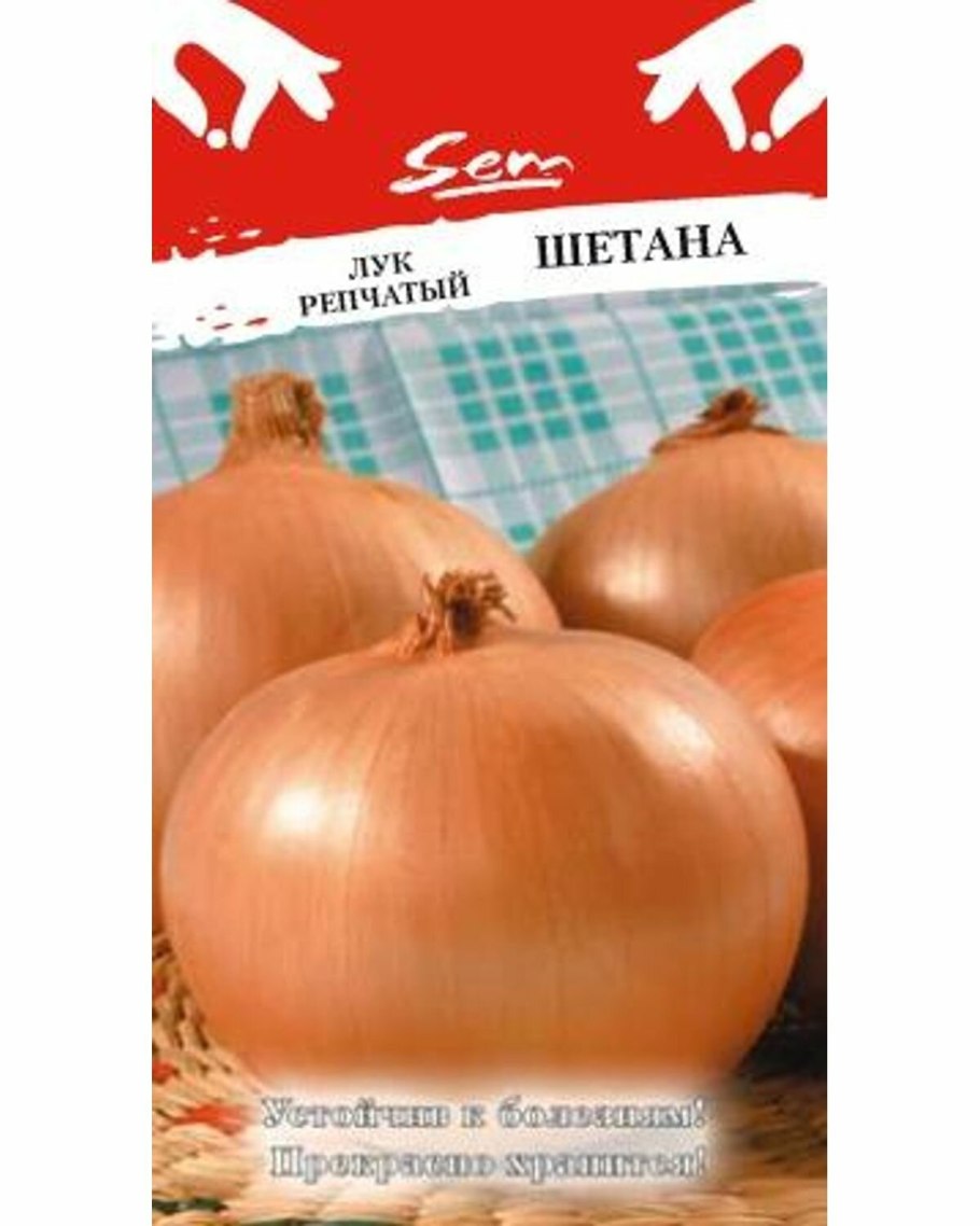 Зеленый лучок