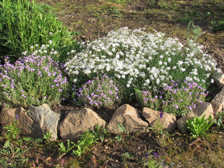 Мазус Майя Марленовна фото