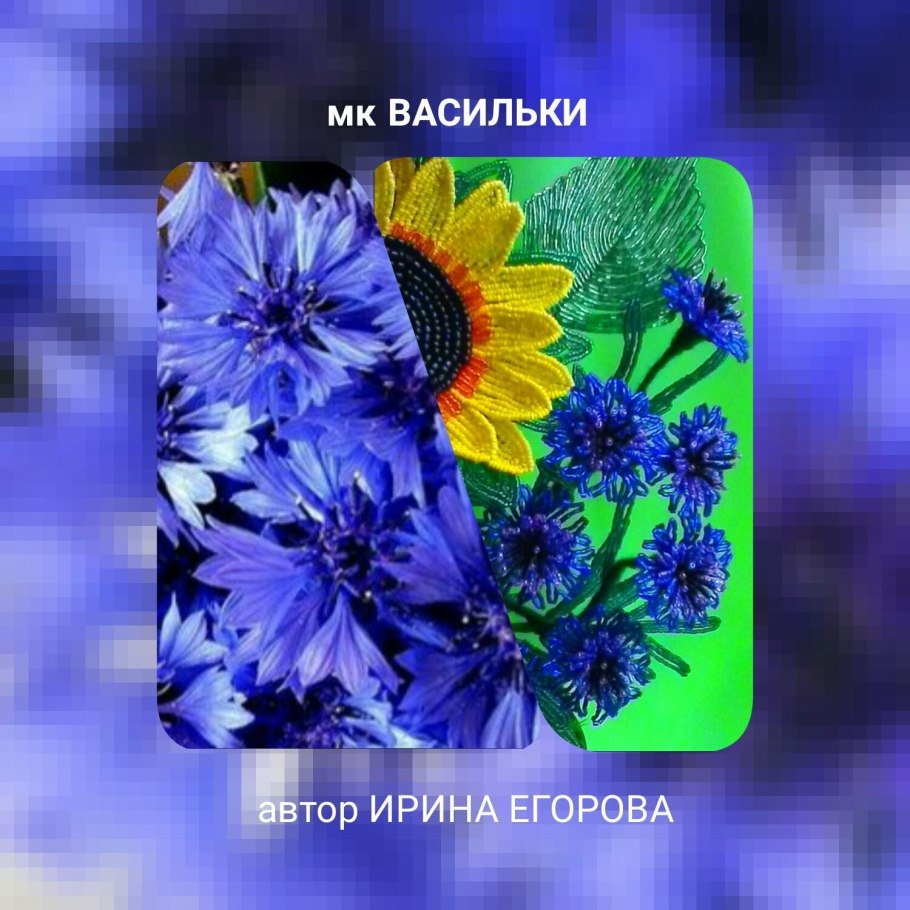 Набор из 4-х плавающих гербер