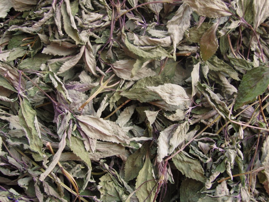 Эрика реснитчатая